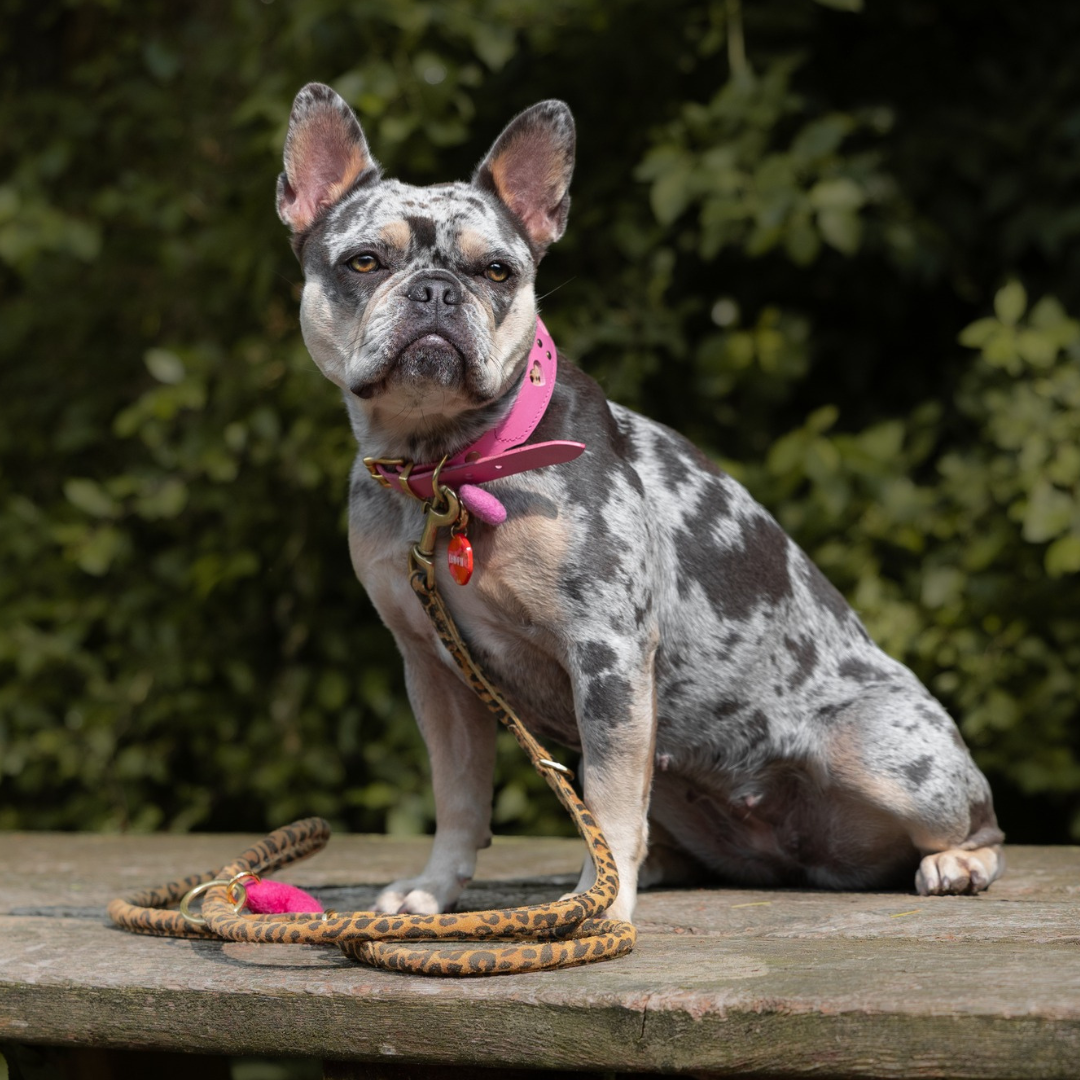 LEATHER LEASH - SUEDE LEOPARD
