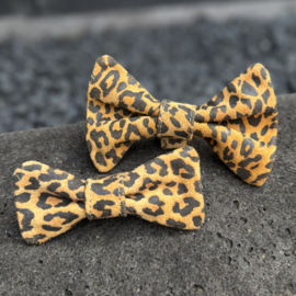 BOW CROCO PANTER
