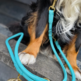 LEATHER LEASH - BOLD IN BLUE