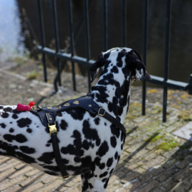TUIG HEARTBEAT GOLD - meer designs mogelijk