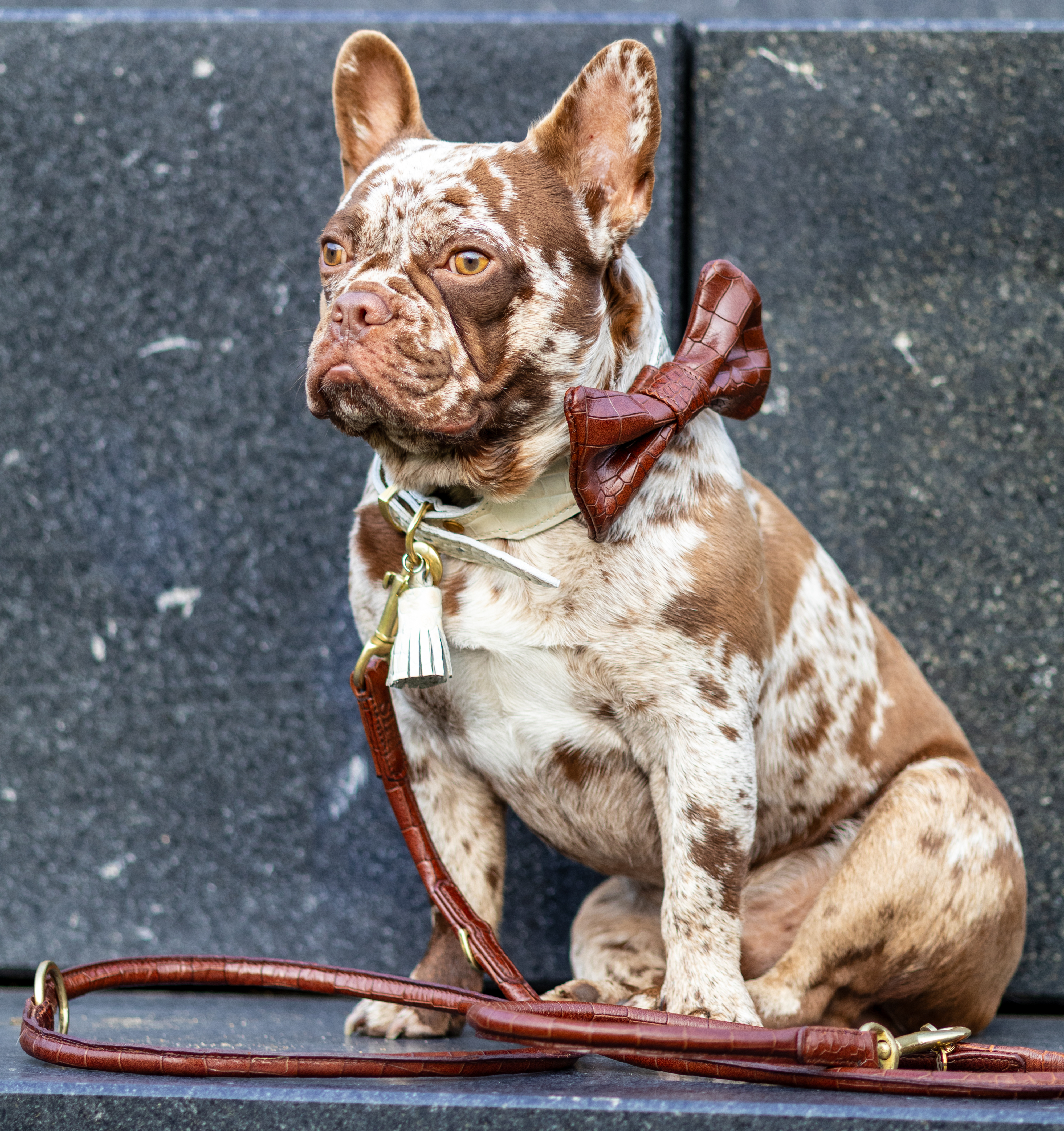LEATHER LEASH - CROCO BROWN