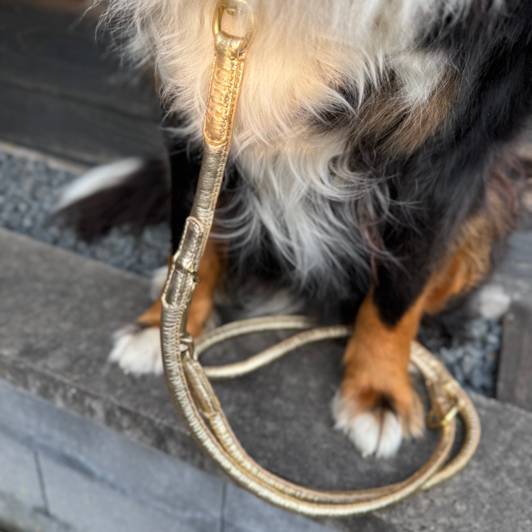 LEATHER LEASH - CROCO GOLD