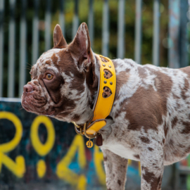 HALSBAND - MY VALENTINE SUNNY IN YELLOW