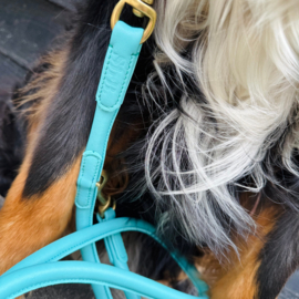 LEATHER LEASH - BOLD IN BLUE