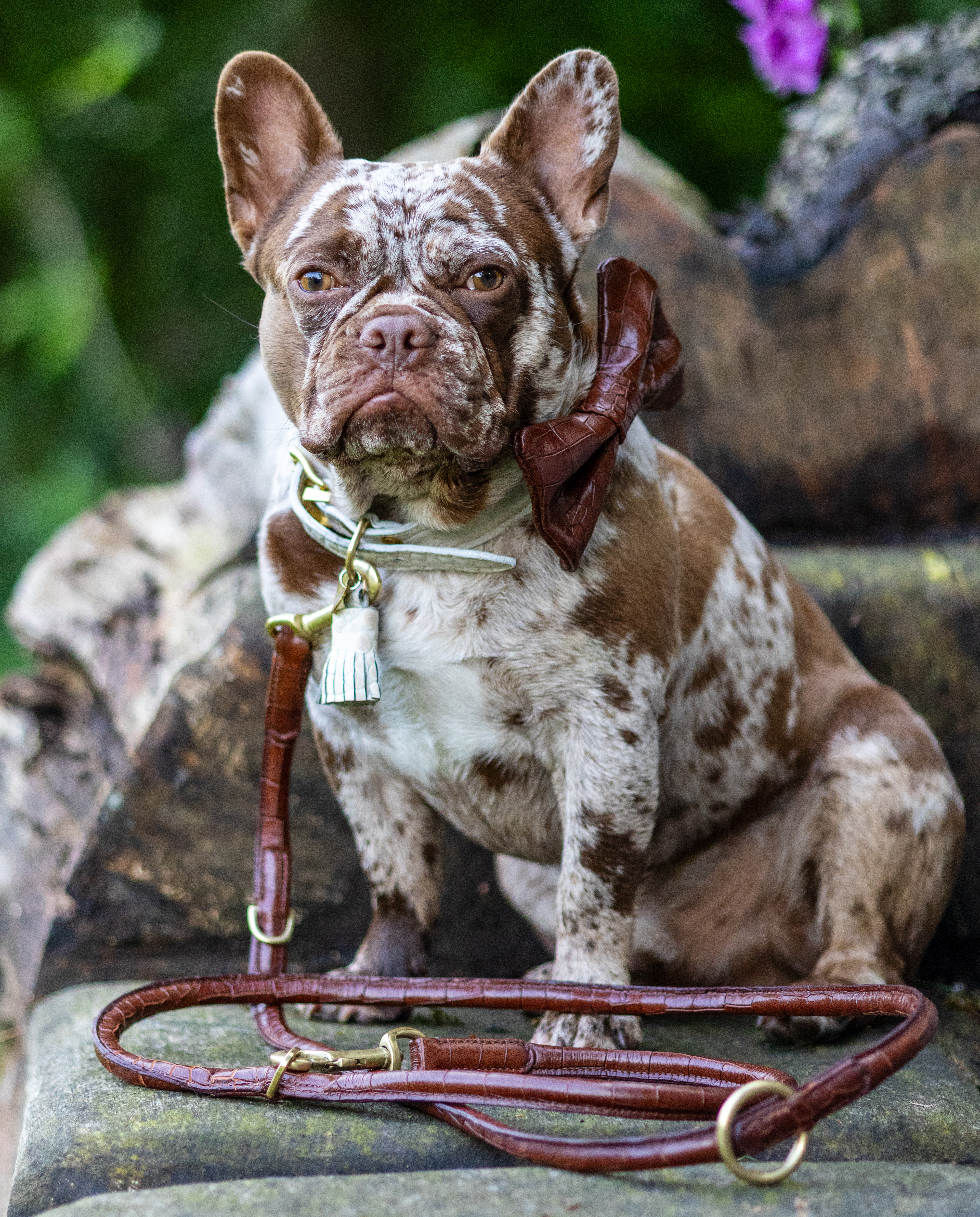 LEATHER LEASH - CROCO BROWN