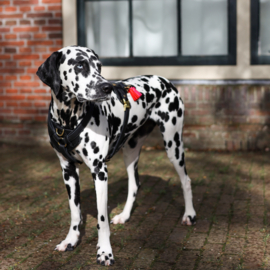 TUIG HEARTBEAT GOLD - meer designs mogelijk