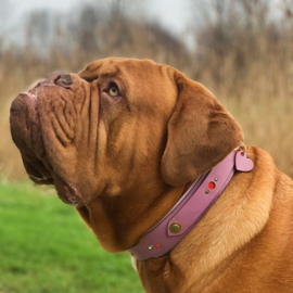 HALSBAND - BOLD IN PINK