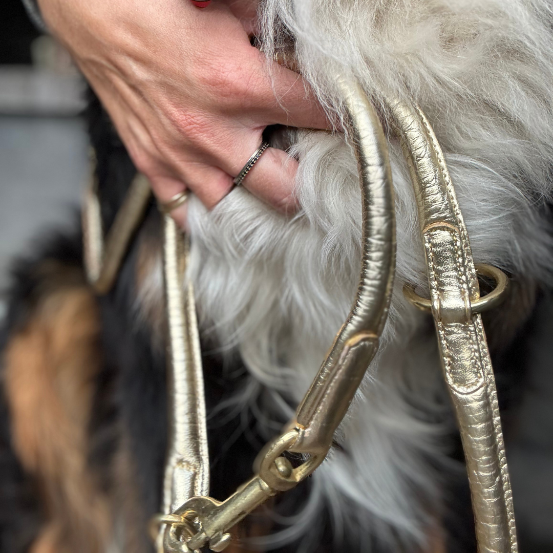 LEATHER LEASH - CROCO GOLD