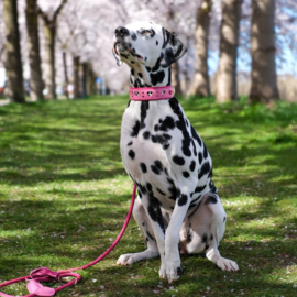 HALSBAND - MY VALENTINE BUBBLEGUM PINK