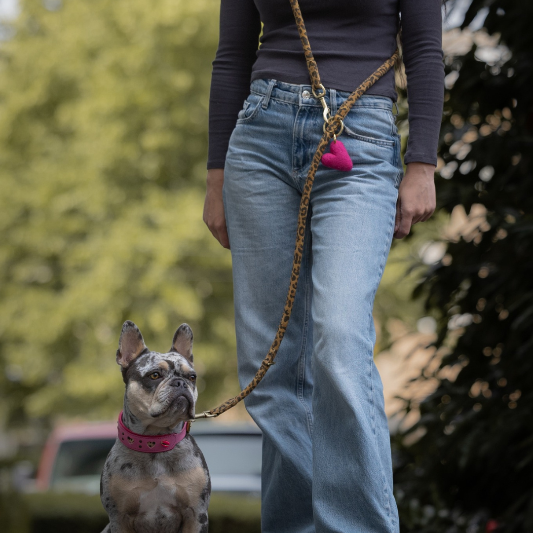 LEATHER LEASH - SUEDE LEOPARD