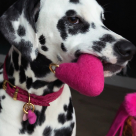 HALSBAND - HOT PINK