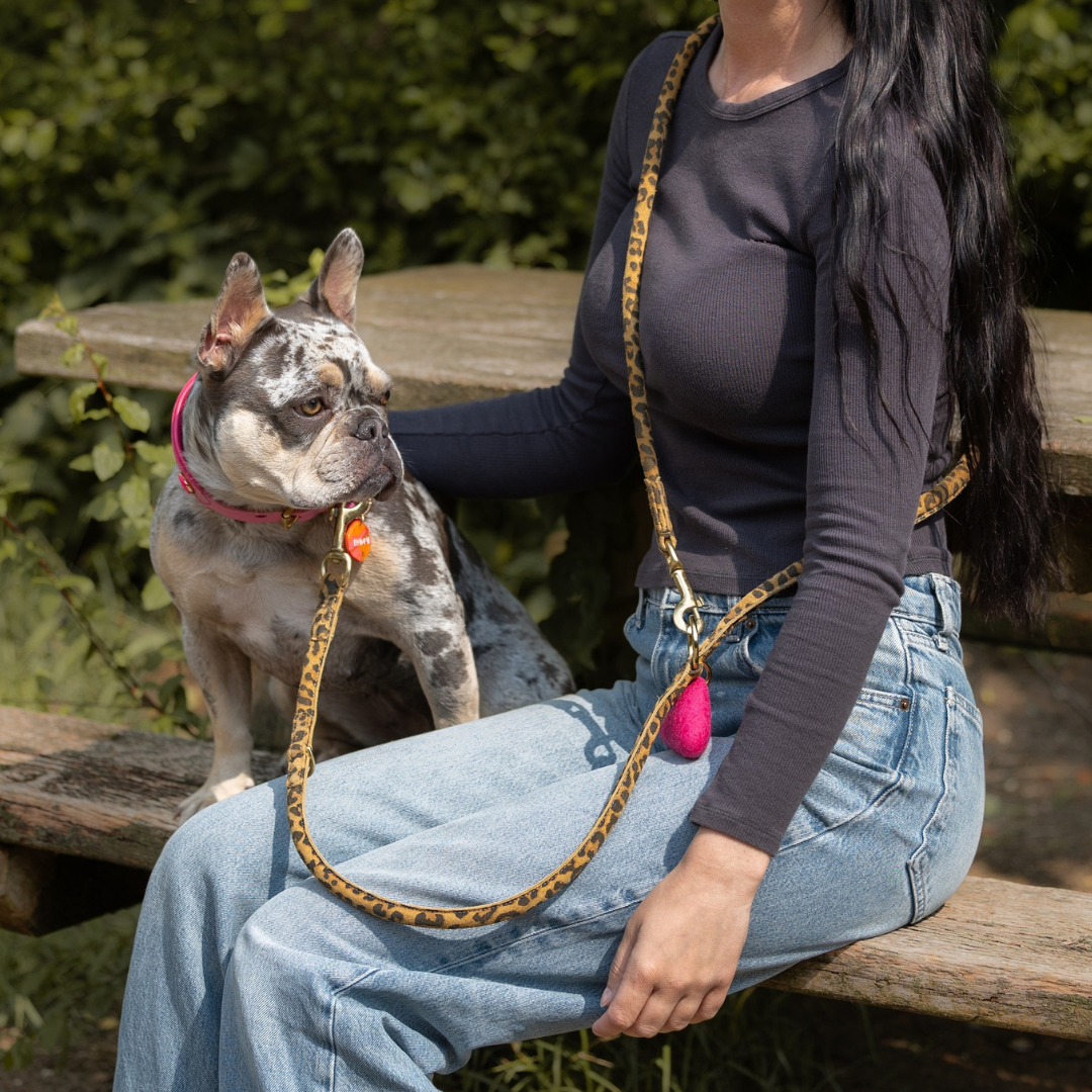 LEATHER LEASH - SUEDE LEOPARD