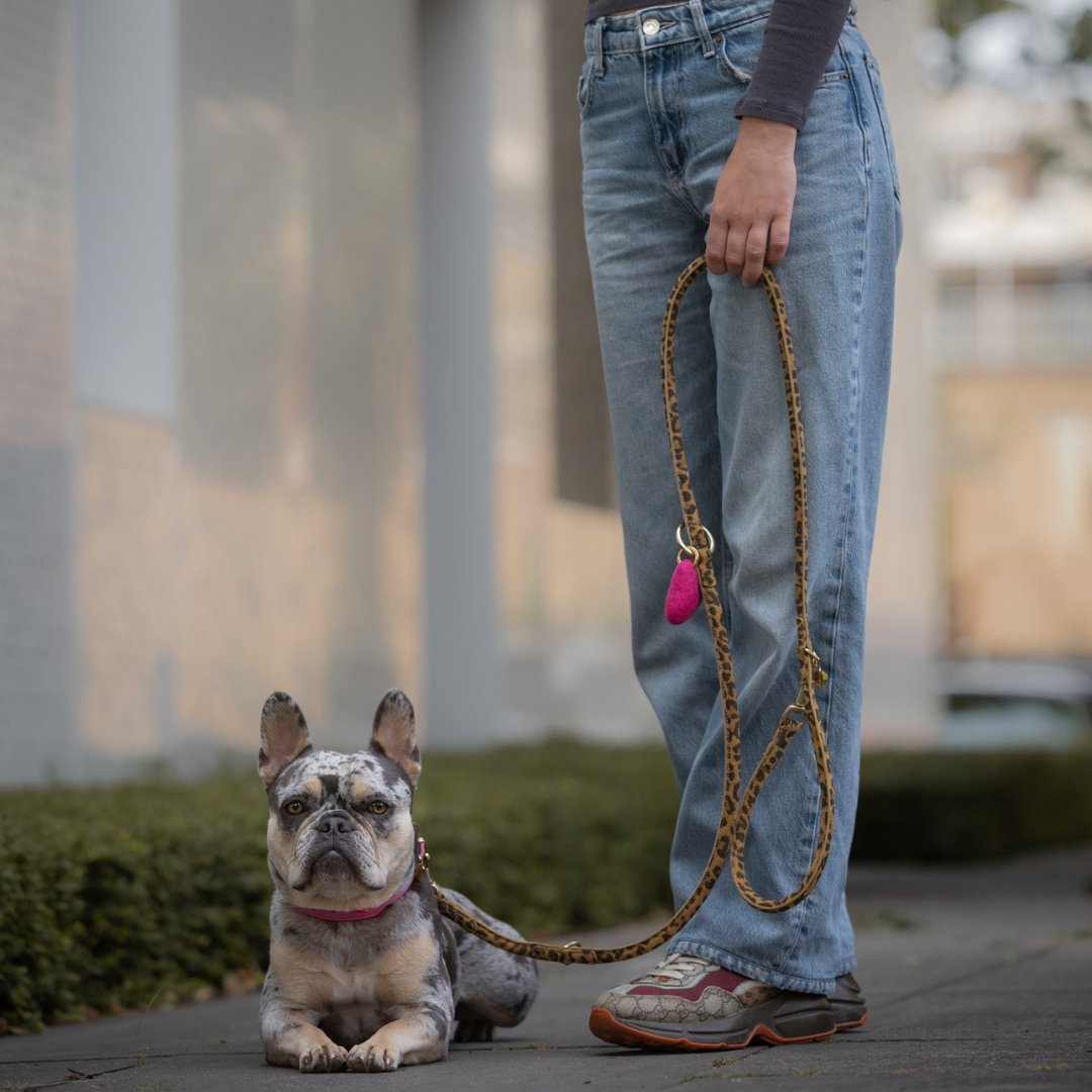 LEATHER LEASH - SUEDE LEOPARD