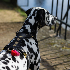 TUIG HEARTBEAT GOLD - meer designs mogelijk