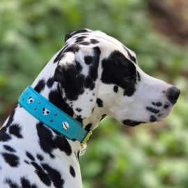 HALSBAND - MY VALENTINE BOLD IN BLUE - dalmatiër print