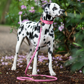 HALSBAND - MY VALENTINE BUBBLEGUM PINK - dalmatiër print
