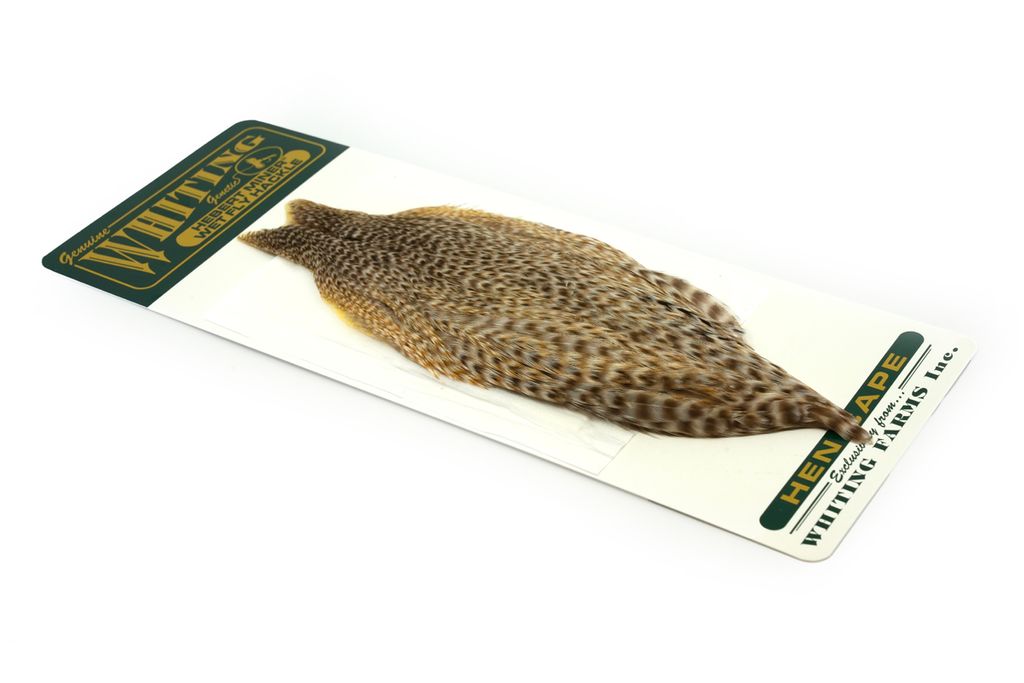Whiting Hebert Miner Hen Cape
