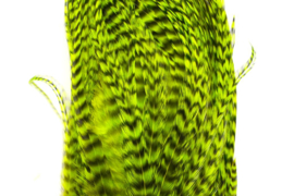 Whiting Bugger Pack Grizzly dyed Fluo Green Chartreuse
