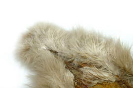 Whiting Spey SH/C (Soft Hackle/Chicabou)