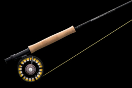 SAGE Foundation Outfit