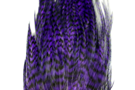 Whiting Bugger Pack Grizzly dyed Purple
