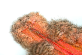 Whiting Spey SH/C (Soft Hackle/Chicabou)