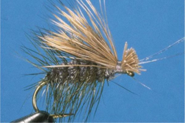 Irresistible Elk Caddis (dun )