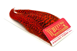 Whiting Bugger Pack Grizzly dyed Orange