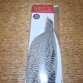 Whiting Half Neck Bronze Grizzly