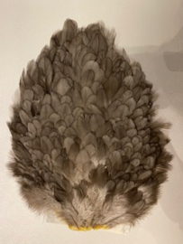 Whiting 4B`s Hen Saddle