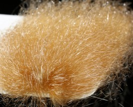 Saltwater Ghost Hair