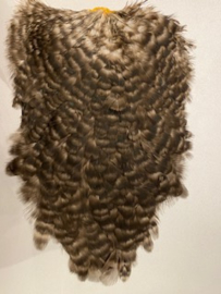 Whiting 4B`s Hen Saddle