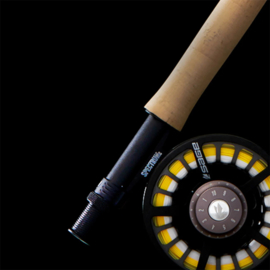 SAGE Foundation Outfit