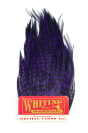 Whiting Bugger Pack Grizzly dyed Purple