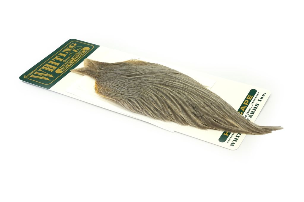 Whiting Hebert Miner Hen Cape