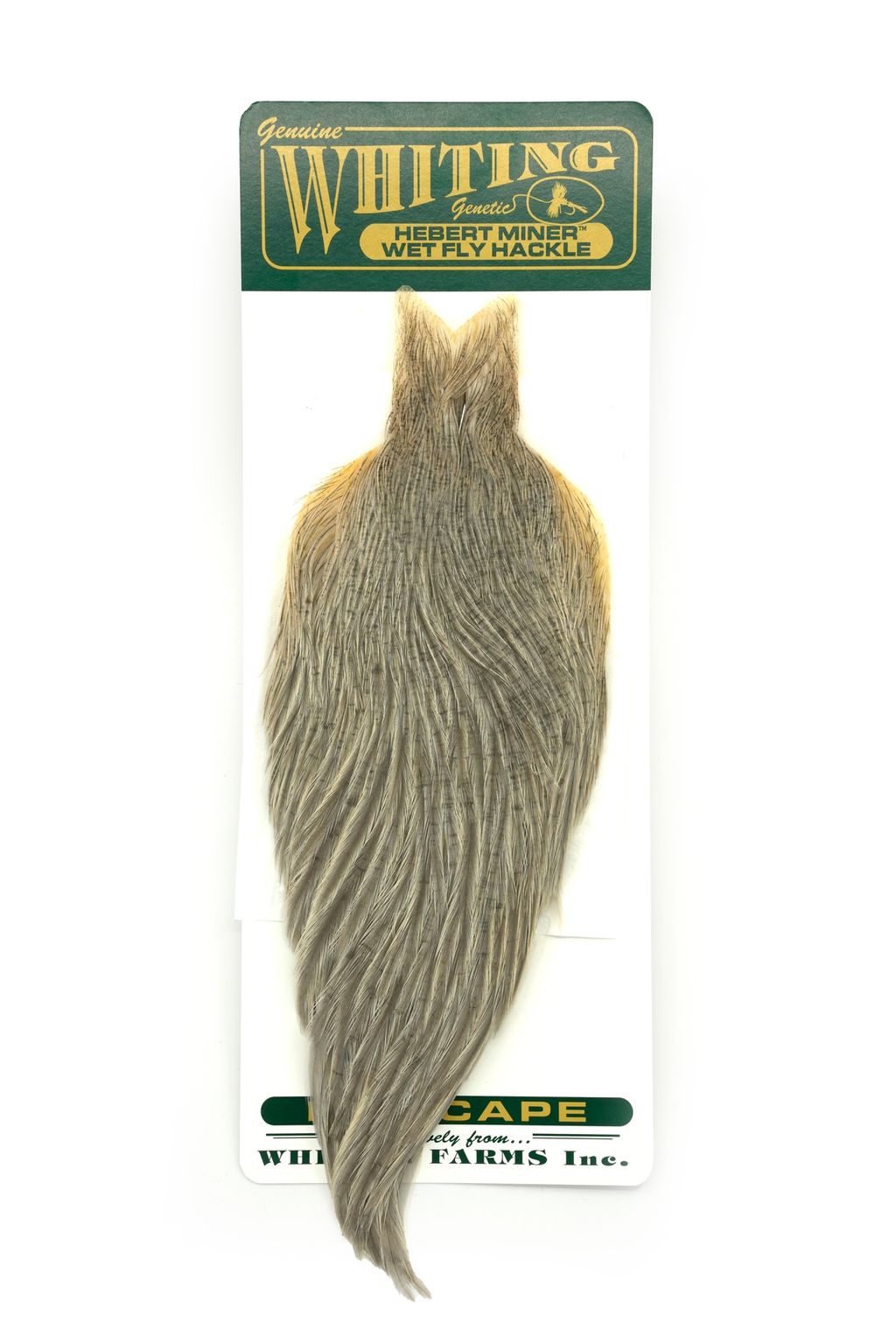 Whiting Hebert Miner Hen Cape