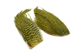 Whiting Bugger Pack Grizzly dyed Olive