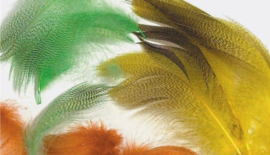 Mallard Flank Orange
