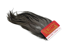 Whiting Bugger Pack White dyed Dark Dun