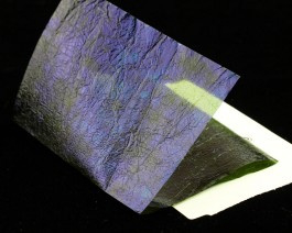Fine UV FlashBack