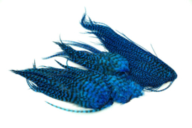 Whiting Bugger Pack Grizzly dyed Kingfisher Blue