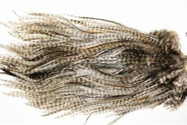 Whiting Coq de Leon Bronze Saddle Grizzly
