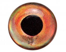 3D Epoxy Fish Eyes, 9mm