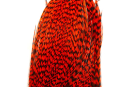 Whiting Bugger Pack Grizzly dyed Orange