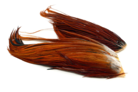 Whiting Bugger Pack Brown