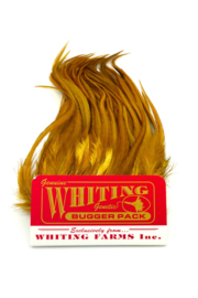Whiting Bugger Pack White dyed Golden Olive