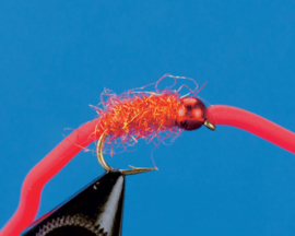 Squirmy Worms