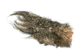 Whiting Bird Fur