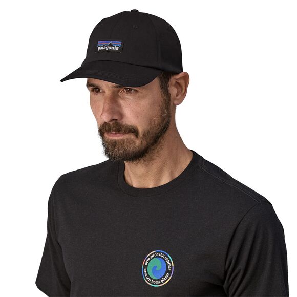 Patagonia P-6 Label Trad Cap CASCADE GREEN