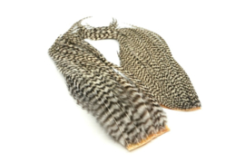 Whiting Bugger Pack Grizzly